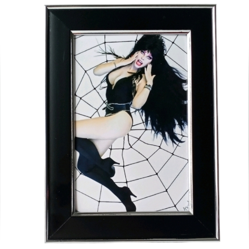 ELVRIA Horror Queen Retro Vintage Gothic Goth Art Pin Up Spider Web Phhoto Shoot
